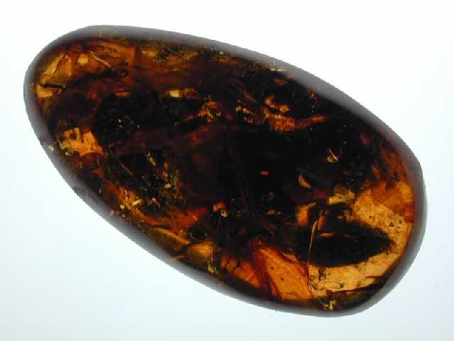 Yellow, dark with plant material: leaves 