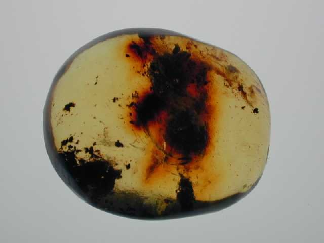 Yellow, clear with plant matter