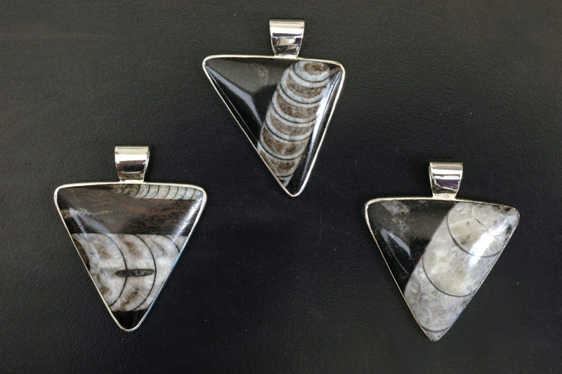 Triangular Orthoceras Pendants