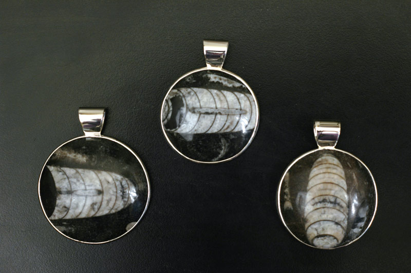 Round Orthoceras Pendants