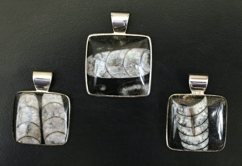 Square Orthoceras Pendants