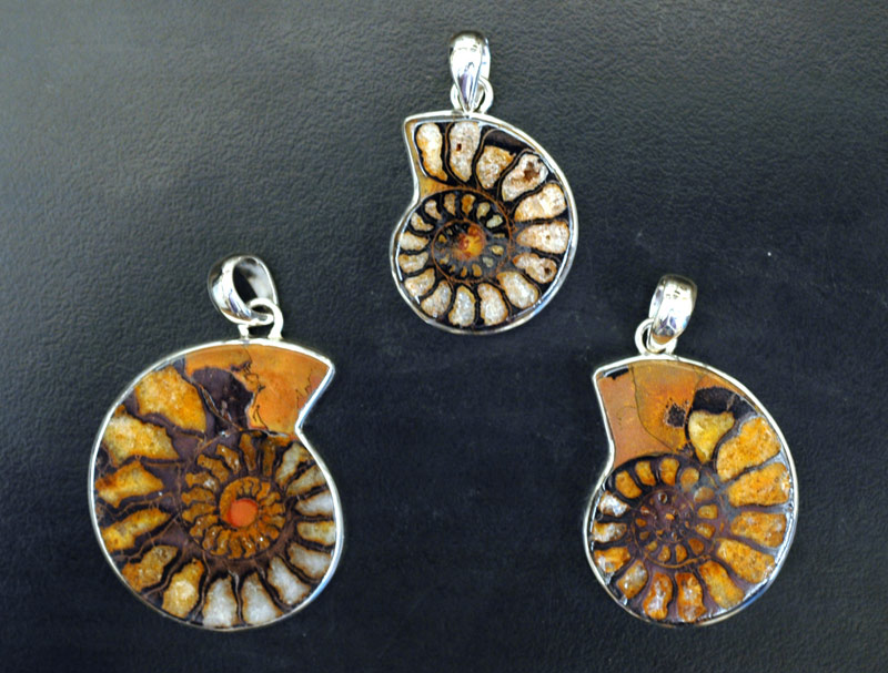 Ammonite Pendants