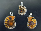 Ammonite Pendants