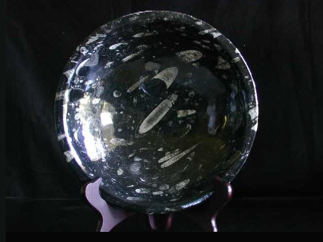 Polished Fossilized Marble Bowl