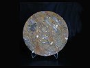 Small Polished Fossilized Marble Table Top