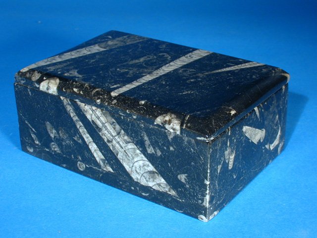 Medium Rectangular Fossilized Marble Box