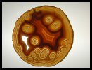 Polished Agate Slab