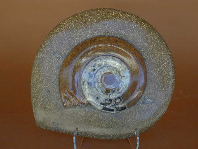 Ammonites with a Stippled Border